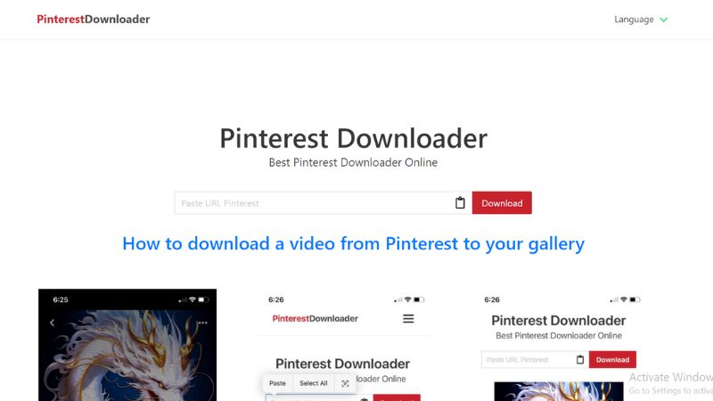 How to use Pinterest Downloader